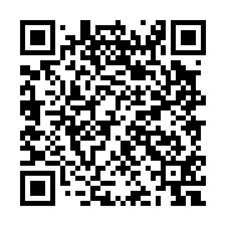 QR code for ZJX011