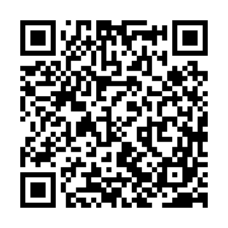 QR code for ZJX267
