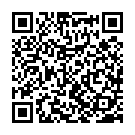 QR code for ZJX509