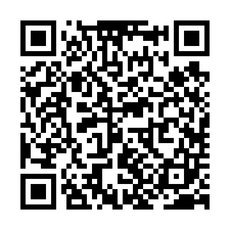 QR code for ZKB603