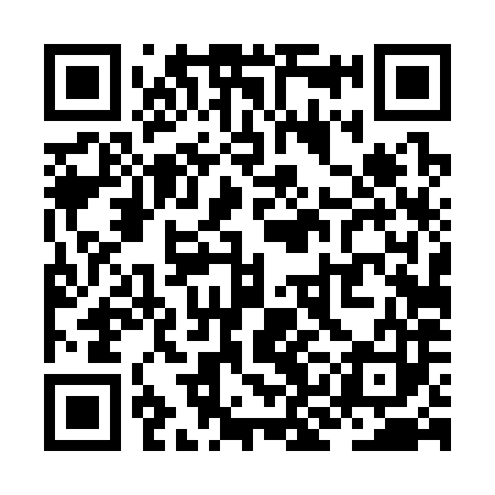 QR code for ZKD383