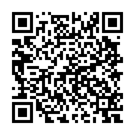 QR code for ZKI013