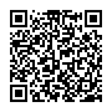 QR code for ZKI333