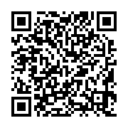 QR code for ZKM271
