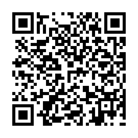 QR code for ZKM333