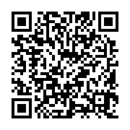 QR code for ZKM385