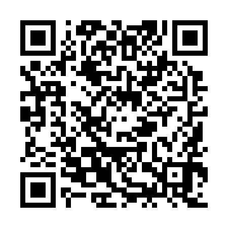 QR code for ZKY390