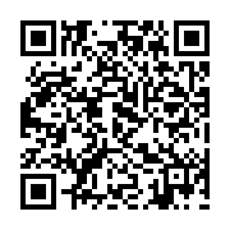 QR code for ZKZ382