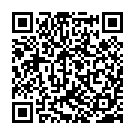 QR code for ZLA095