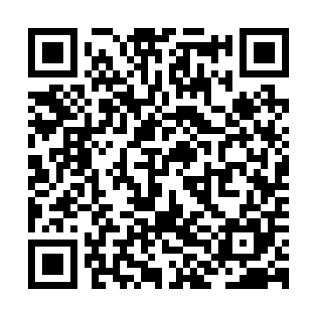 QR code for ZLC205
