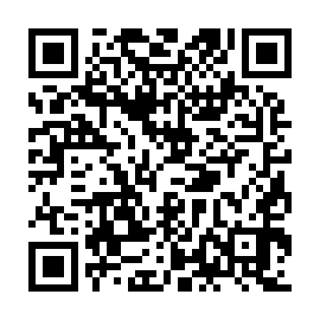 QR code for ZLC950