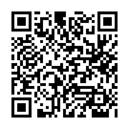 QR code for ZLD011