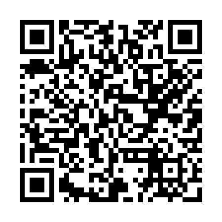 QR code for ZLD338