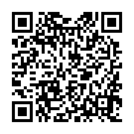 QR code for ZLD394