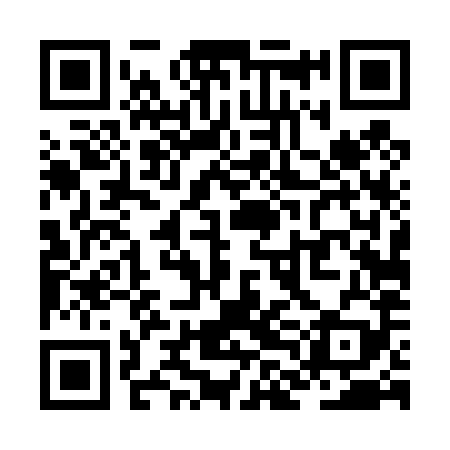 QR code for ZLD489