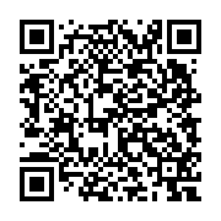QR code for ZLD613