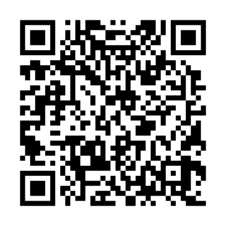 QR code for ZLE368