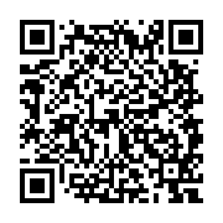 QR code for ZLF595