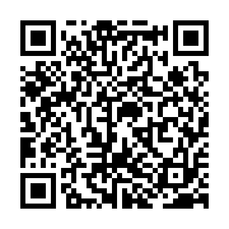 QR code for ZLG313