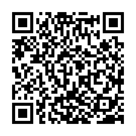 QR code for ZLH338
