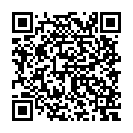 QR code for ZLH541