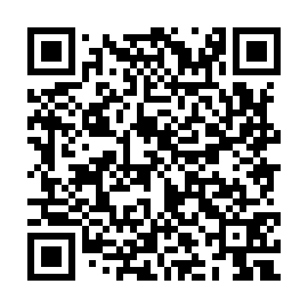 QR code for ZLH971