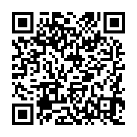 QR code for ZLH991