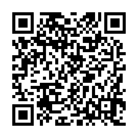 QR code for ZLH994