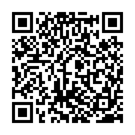 QR code for ZLI212