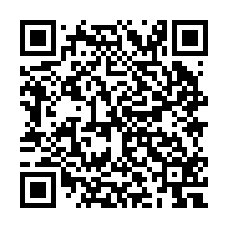 QR code for ZLI216