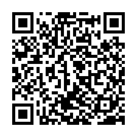 QR code for ZLI221