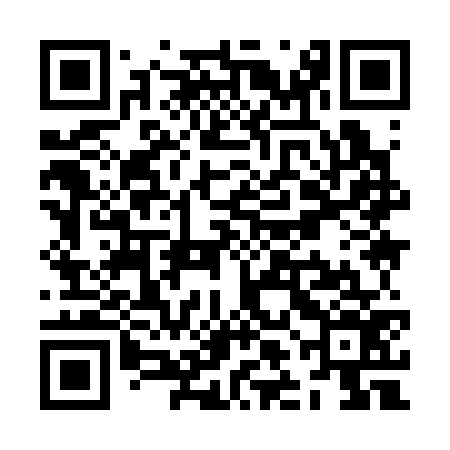 QR code for ZLI376