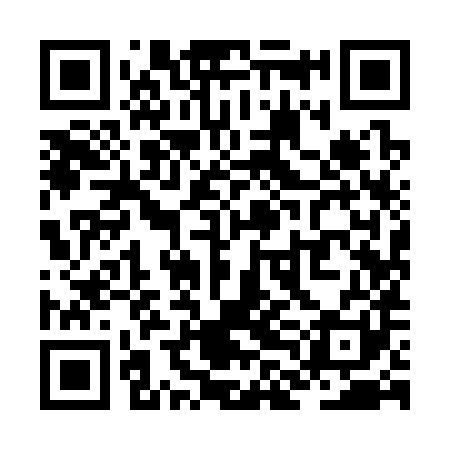 QR code for ZLI381