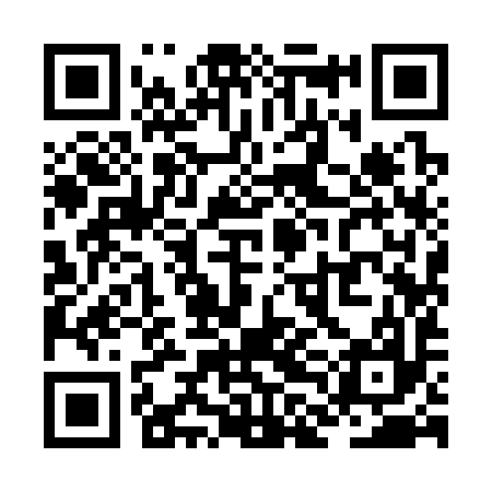QR code for ZLI397