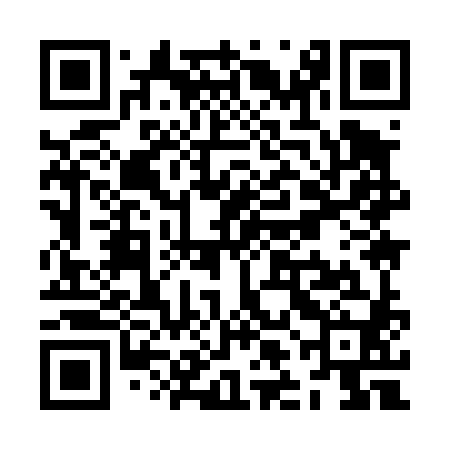 QR code for ZLI480