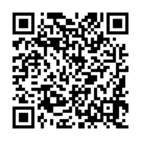 QR code for ZLI597