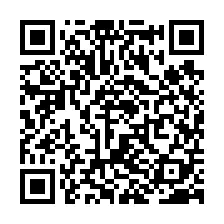 QR code for ZLI609