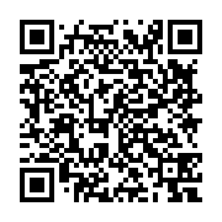 QR code for ZLI838