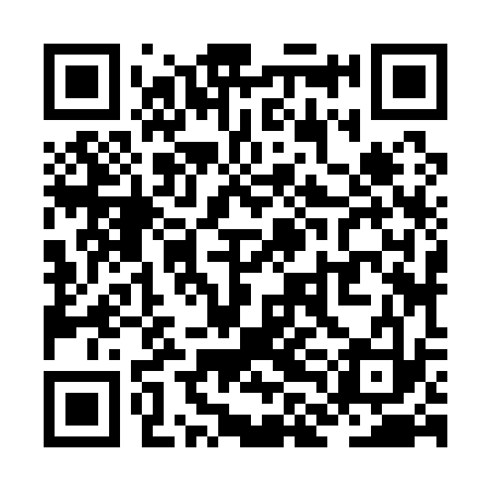 QR code for ZLJ133