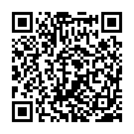 QR code for ZLJ313