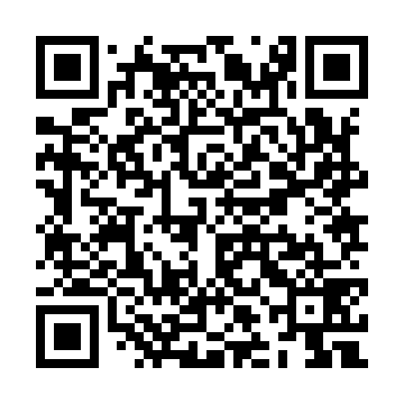 QR code for ZLJ979