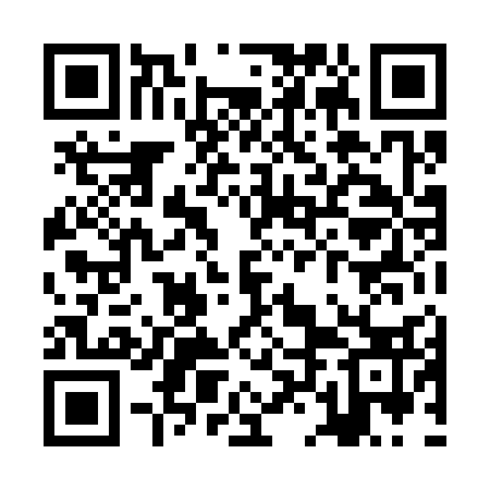 QR code for ZLL333
