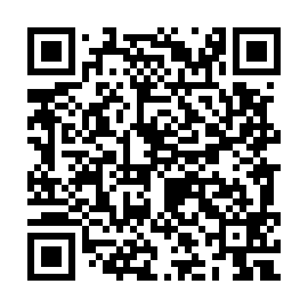 QR code for ZLL599
