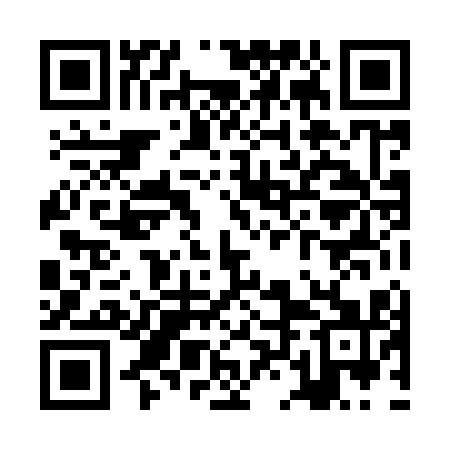QR code for ZLL911