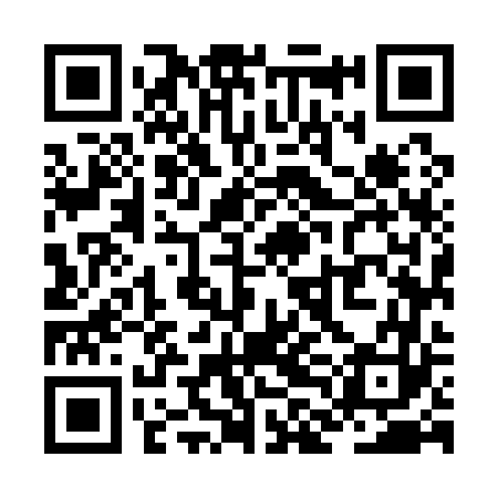 QR code for ZLM163
