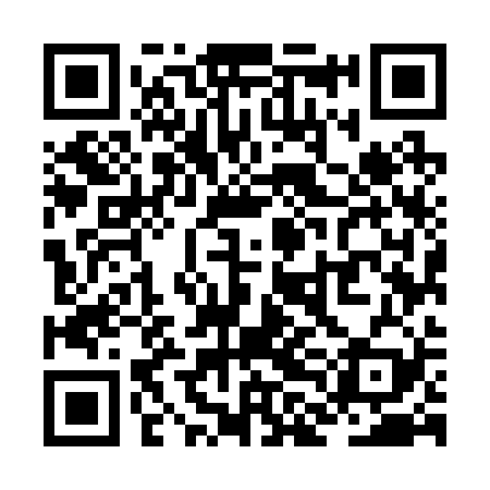 QR code for ZLM229