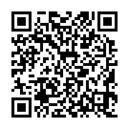 QR code for ZLM371