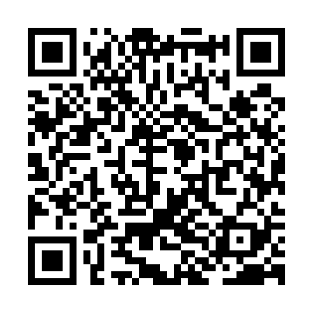 QR code for ZLM529
