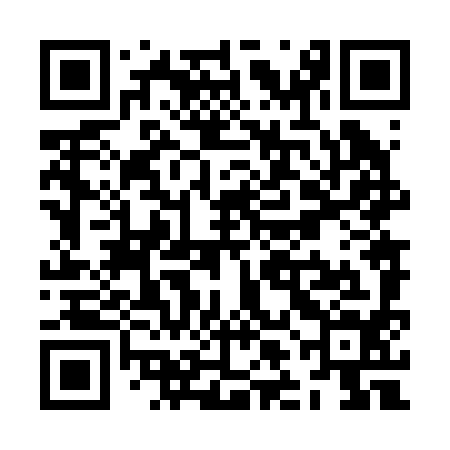 QR code for ZLN294