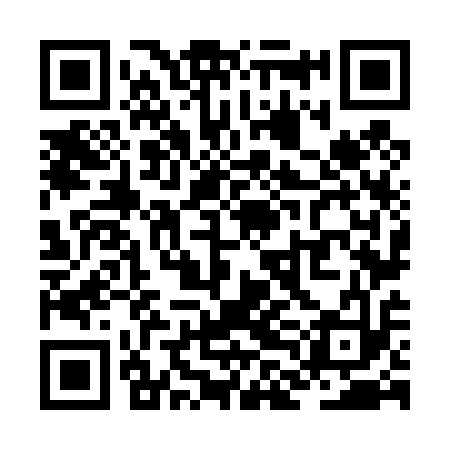 QR code for ZLN413
